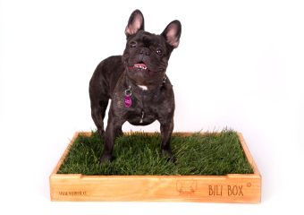 Bili Box