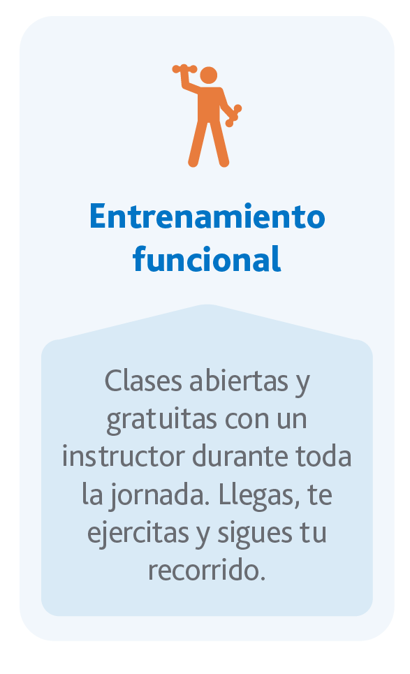 Descripción de la tercera imagen